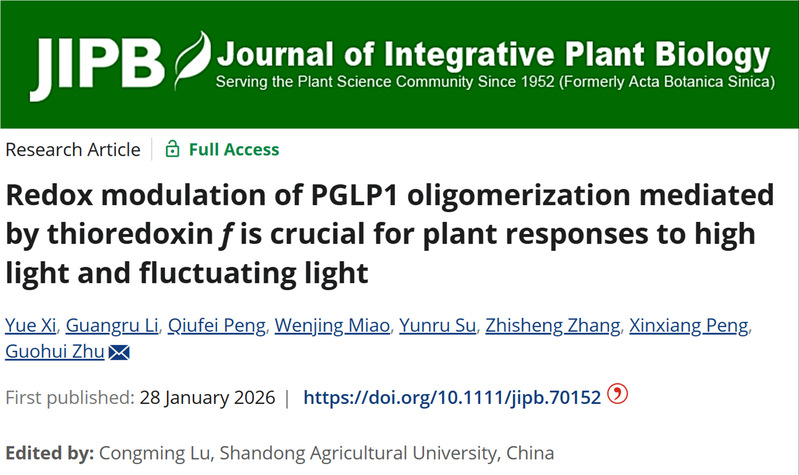 生命科学学院彭新湘/朱国辉团队...